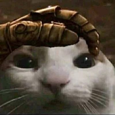 viethorny264's profile picture. 