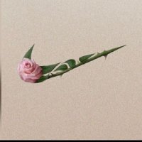 Snerza_M🦋 (@msnerza) 's Twitter Profile