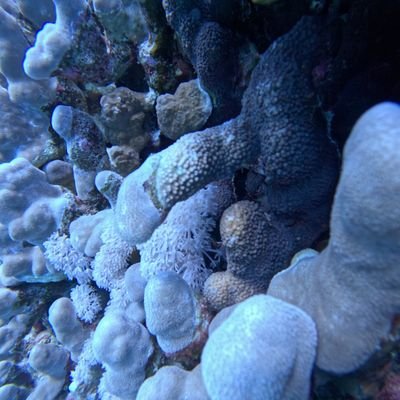 adam76783425070's profile picture. 