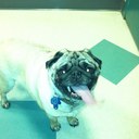 Matt Kiser - @mkiser06 - Twitter