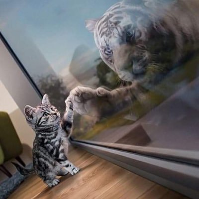 wilfr3DD's profile picture. what doesn't kill you makes you smaller -mario