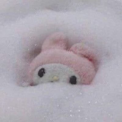 dark100sook's profile picture. 이번엔 진짜야 it's my first♡