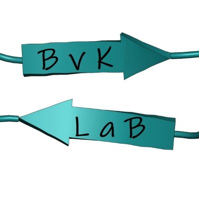 Burak V Kabasakal #PI @TarlaNatLab | #structuralbiology #crystallography #cryoEM #chemeng #chem | Alumnus @Hacettepe1967 @ucdavis @imperialcollege @BristolUni