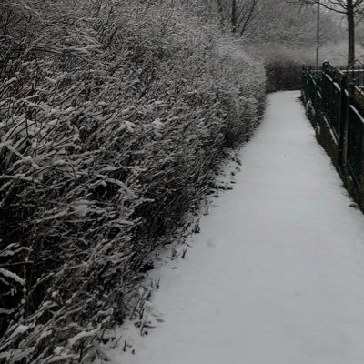 mylovingangell's profile picture. from the river to the sea | issac 💟