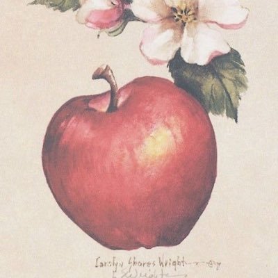 VVCORNE's profile picture. きのこは食べないし、枕なしで寝る