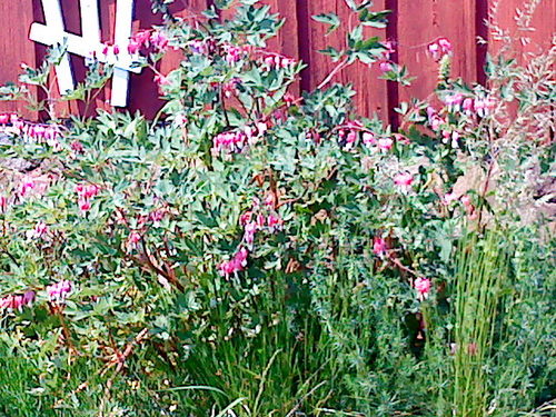 97lollois's profile picture. 