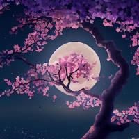 Sakura Night(@SakuraNigh) 's Twitter Profile Photo