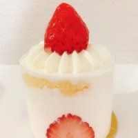 ohaco (@stripe__blue) Twitter profile photo