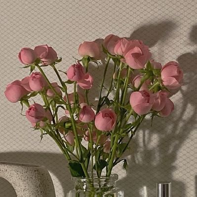 ⁑✿❀✿❀✿❀✿❀✿❀✿❀✿⁑