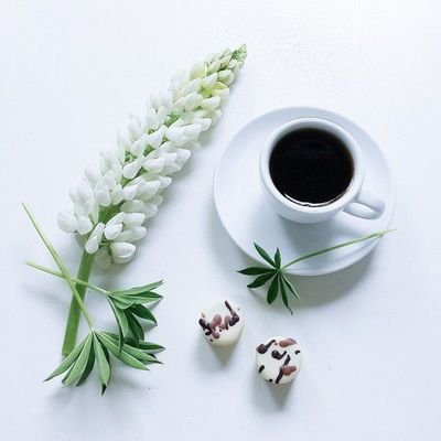 Mohamed96256694's profile picture. ..