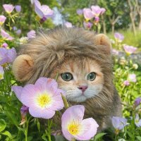 Víctor Bonet (@vctorbonet) 's Twitter Profile