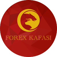 Pınar Aşçioğlu (@p_ascioglu) Twitter profile photo