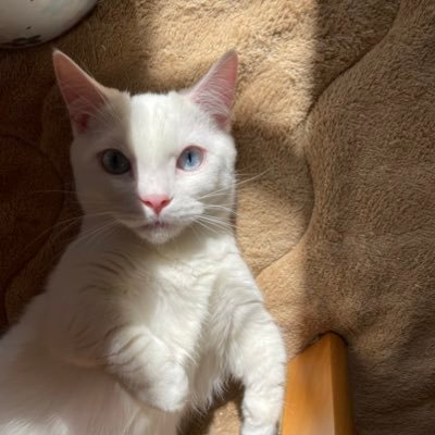 deletec0331's profile picture. 