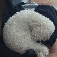 Eric (@booya) 's Twitter Profile Photo