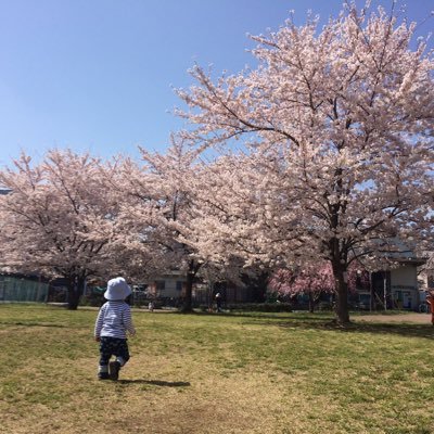 cphiyokomame's profile picture. お家が大好きです。家族も大好きです。お仕事も大好きです。