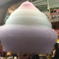 ゆうま (@kiimonator) 's Twitter Profile