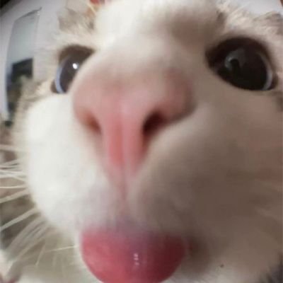 itslucynotluzy's profile picture. ★★★★★
'te quiero'