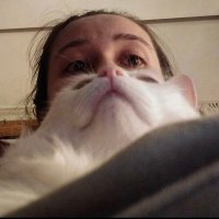 SelinPamuk (@pamukvsq7) 's Twitter Profile Photo SelinPamuk (@pamukvsq7) 's Twitter Profile Photo