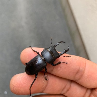 JCkP6dhBHx99610's profile picture. 