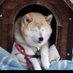 mocco369♦꧁IP꧂🍚 ⛓CEO of Henlo (@gachimuchimax) Twitter profile photo mocco369♦꧁IP꧂🍚 ⛓CEO of Henlo (@gachimuchimax) Twitter profile photo