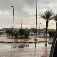 شوشو (@swsw44620050) Twitter profile photo