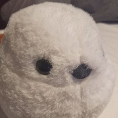 Dfuさんのプロフィール画像