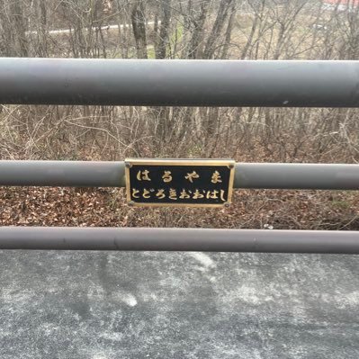 eRt3es3LnY99333's profile picture. 