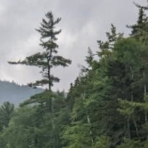 intentions40's profile picture. 