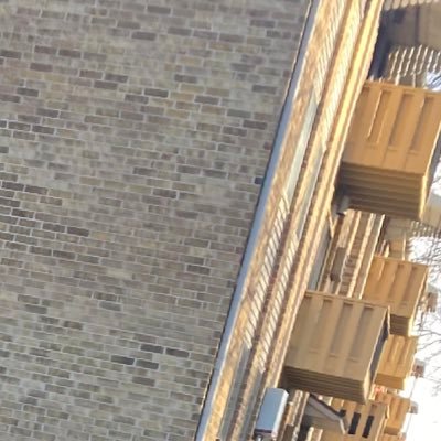 1lillee__'s profile picture. 