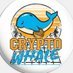 Crypto Whale🐋 (@cryptowhaleo637) Twitter profile photo