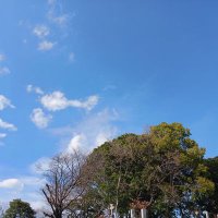 Junya.I(板山絢哉) (@monkey91196981) 's Twitter Profile