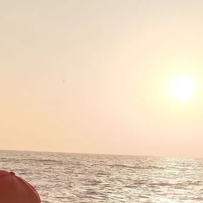 SohailAkh98077's profile picture. 