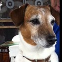 Patrick OBrien - @shayneobrien66 - Twitter