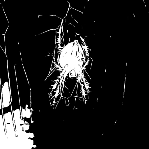 90Pellegrino's profile picture. Mi manchi da morire! è vero!