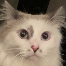 guillemette1957's profile picture. Health and wellness | Mindful living