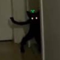 함미🌱✨ (@hammi1101) 's Twitter Profile Photo