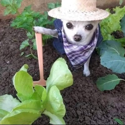 maritoaaaa's profile picture. morning flaws night