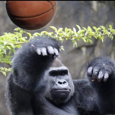 Annonymousjoe1's profile picture. 