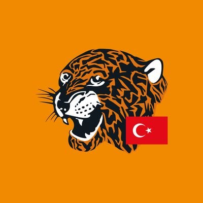 🇹🇷 İngiltere Championship ekibi Hull City hakkında Türkçe paylaşımlar!