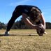 Hunter Craig Long Snapper Transfer⭐️ (@hun13rcraig) Twitter profile photo Hunter Craig Long Snapper Transfer⭐️ (@hun13rcraig) Twitter profile photo