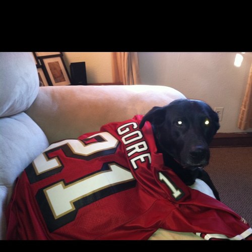 PansaDan's profile picture. 