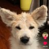 Di60606's profile picture. shsiwjs