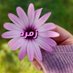 زمرد💜 (@zumurrud4343) Twitter profile photo زمرد💜 (@zumurrud4343) Twitter profile photo