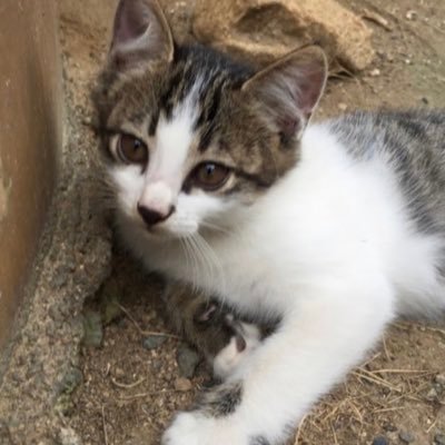 cvyLqWDDtP24067's profile picture. 