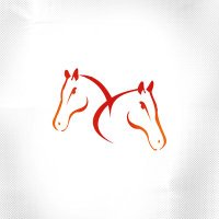 Fifth Chukker Resorts 🏨 ⛵(@FifthChukker) 's Twitter Profile Photo