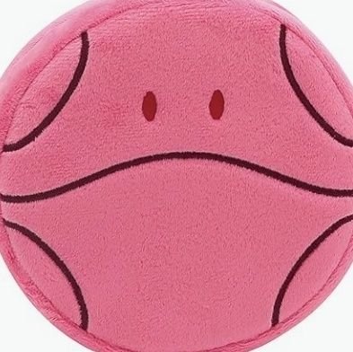 nkonkopp's profile picture. 👩仁D🚗bnt推🫡