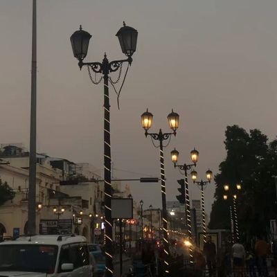 criccrazyvin_'s profile picture. be kind and spread positivity❤
#tigerexch
#stufflistings #tradersxfam #viratkohli