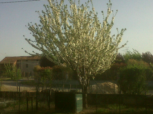 penser63's profile picture. 