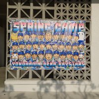 芝生のクマオ (@tan0512) 's Twitter Profile