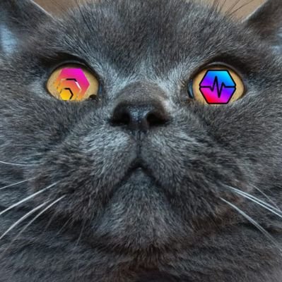 cryptocatさんのプロフィール画像